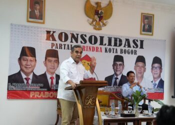 Muzani: Gemoy Adalah Kreativitas dan Inovasi, Bukan Menghilangkan Substansi Demokrasi