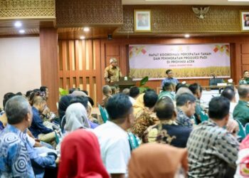 Antisipasi Darurat Pangan, Pemda Aceh Pacu Produksi Padi