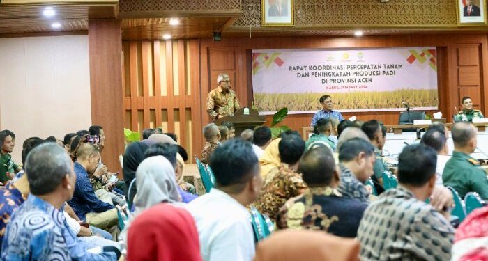 Antisipasi Darurat Pangan, Pemda Aceh Pacu Produksi Padi