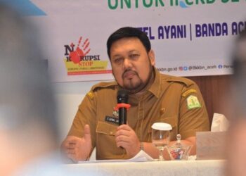 Sepuluh Kabupaten/Kota di Aceh Tuntaskan Pencairan Dana Desa 2024