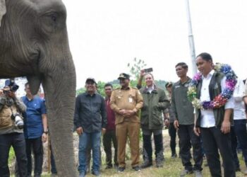 Realisasi Hibah Lahan Presiden Prabowo di Aceh, Pj Gubernur Dampingi Menteri Kehutanan Tinjau CRU Peusangan