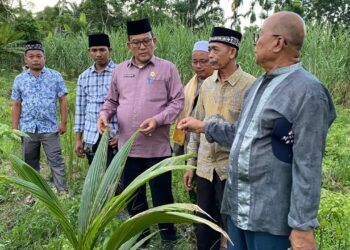 Kemenag Aceh Dorong Pengelolaan Tanah Wakaf Jadi Contoh bagi Masyarakat