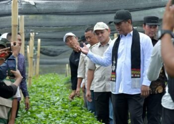 Mentan Apresiasi Kinerja Pemerintah Aceh, Tegaskan Dukungan untuk Pertanian dan Kopi Gayo