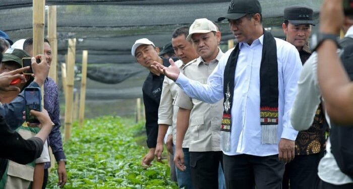 Mentan Apresiasi Kinerja Pemerintah Aceh, Tegaskan Dukungan untuk Pertanian dan Kopi Gayo