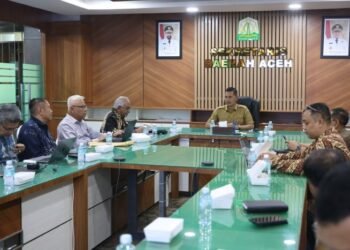 Korporasi Lirik KEK Arun untuk Hilirisasi Migas Blok Andaman