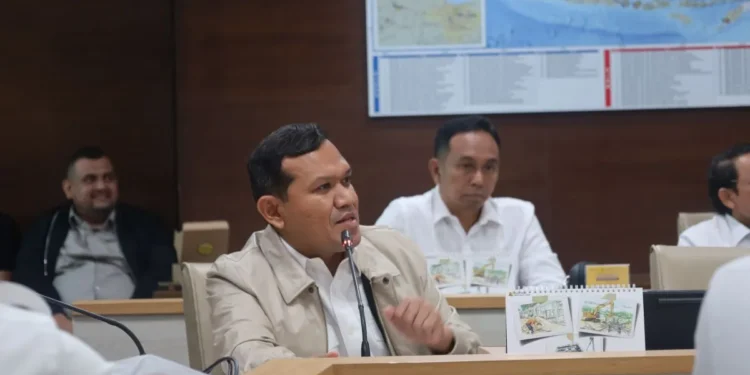 Pemprov Aceh Desak Kementerian PU Percepat Pemulihan Infrastruktur Gayo Lues Pascabencana