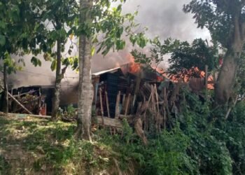 Kebakaran di Gayo Lues Hanguskan 11 Rumah, 46 Jiwa Terdampak