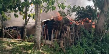Kebakaran di Gayo Lues Hanguskan 11 Rumah, 46 Jiwa Terdampak