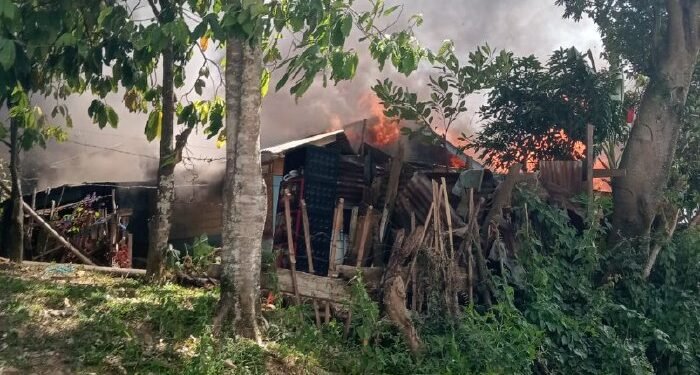 Kebakaran di Gayo Lues Hanguskan 11 Rumah, 46 Jiwa Terdampak